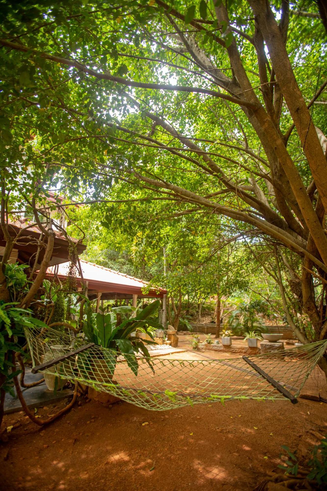 Evergreen Hotel ดัมบูลลา ภายนอก รูปภาพ