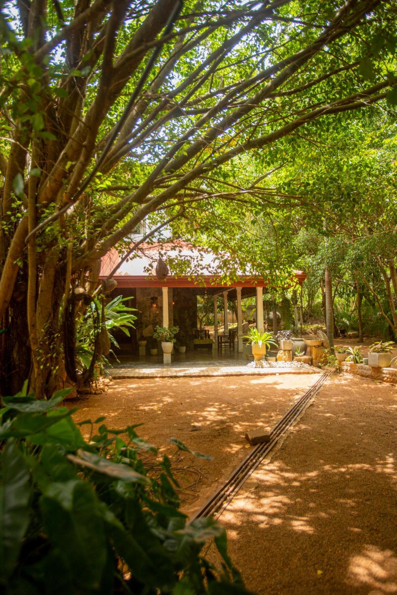 Evergreen Hotel ดัมบูลลา ภายนอก รูปภาพ